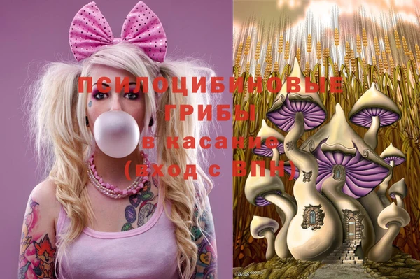spice Алексин