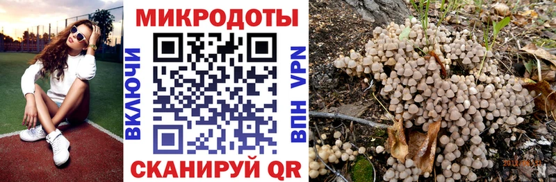 Галлюциногенные грибы мицелий  Мещовск 